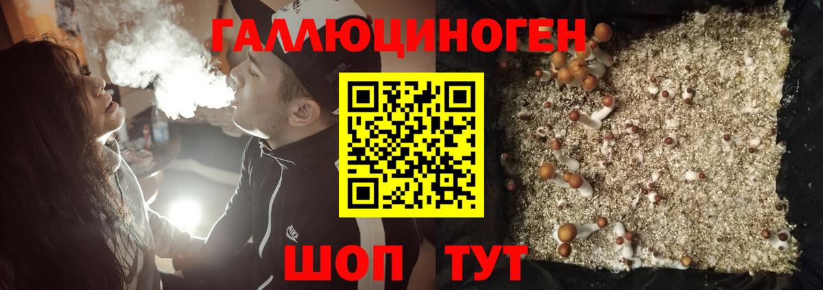 Анапа  Галлюциногенные грибы мицелий  Вход с VPN 